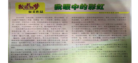 改革开放四十年征文作品之我眼中的必一体育登录官网中国