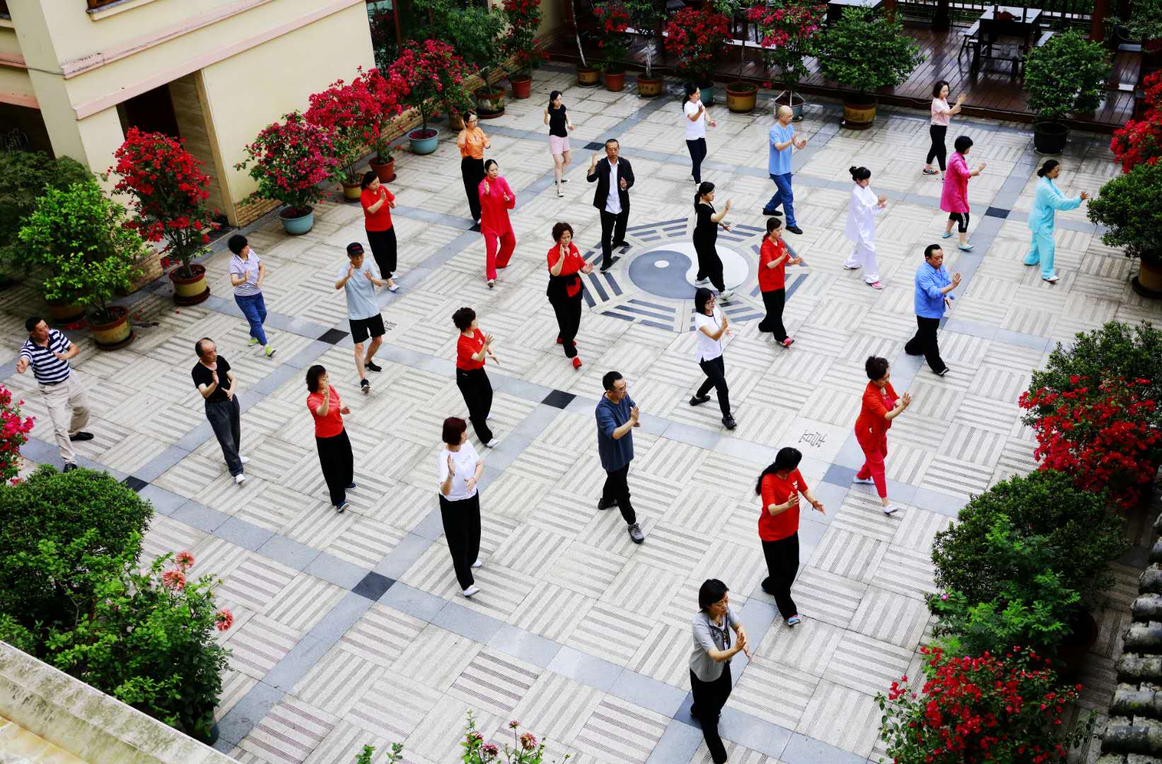 成都必一体育登录官网中国集团太极拳协会活动